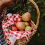 Team Building Activities for Fall