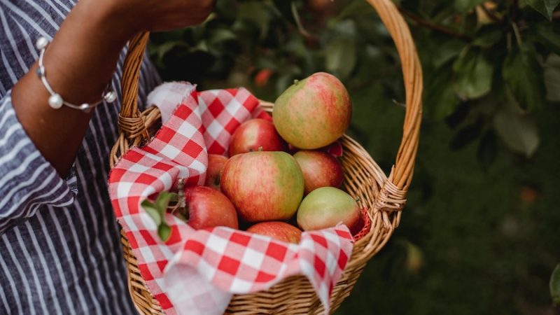 Team Building Activities for Fall