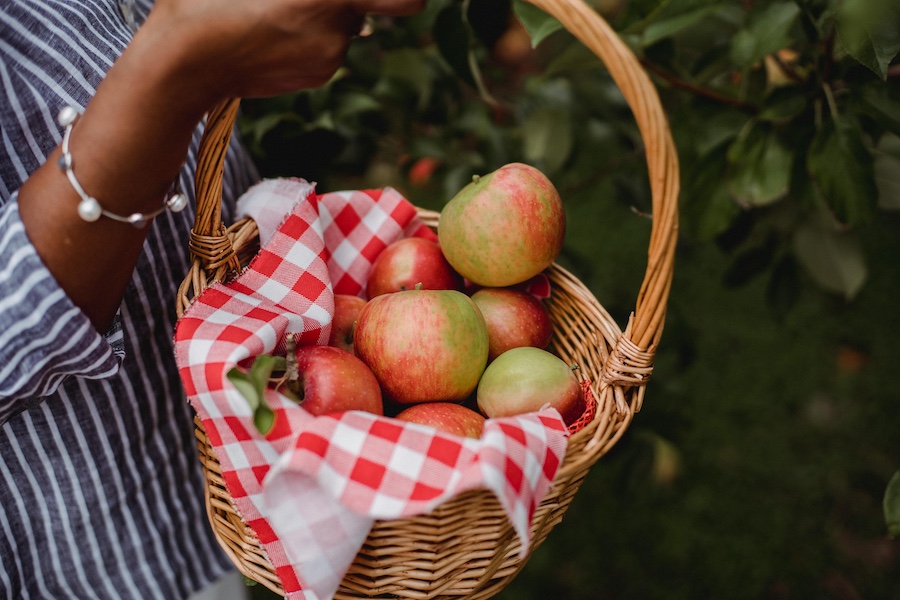 A basket of fall apples.